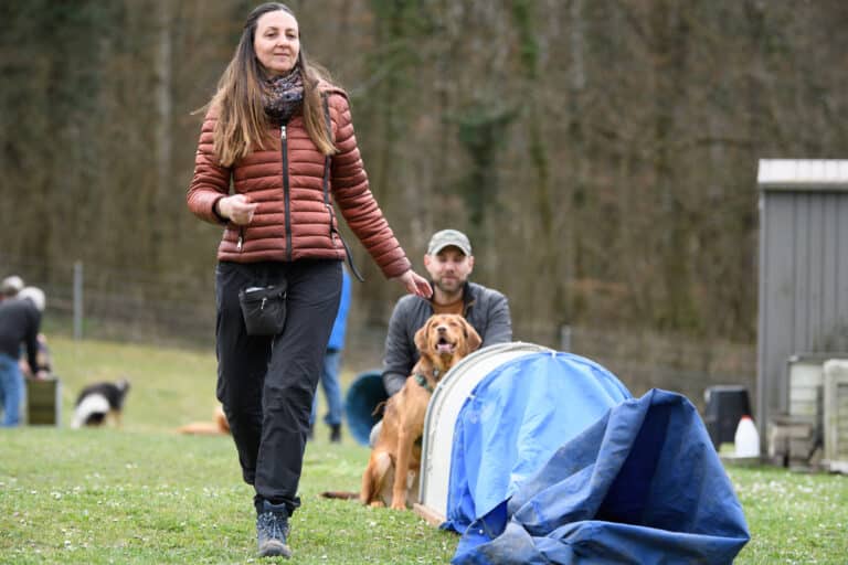 Cours d&rsquo;éducation canine : pourquoi est-ce indispensable en 2025 ?