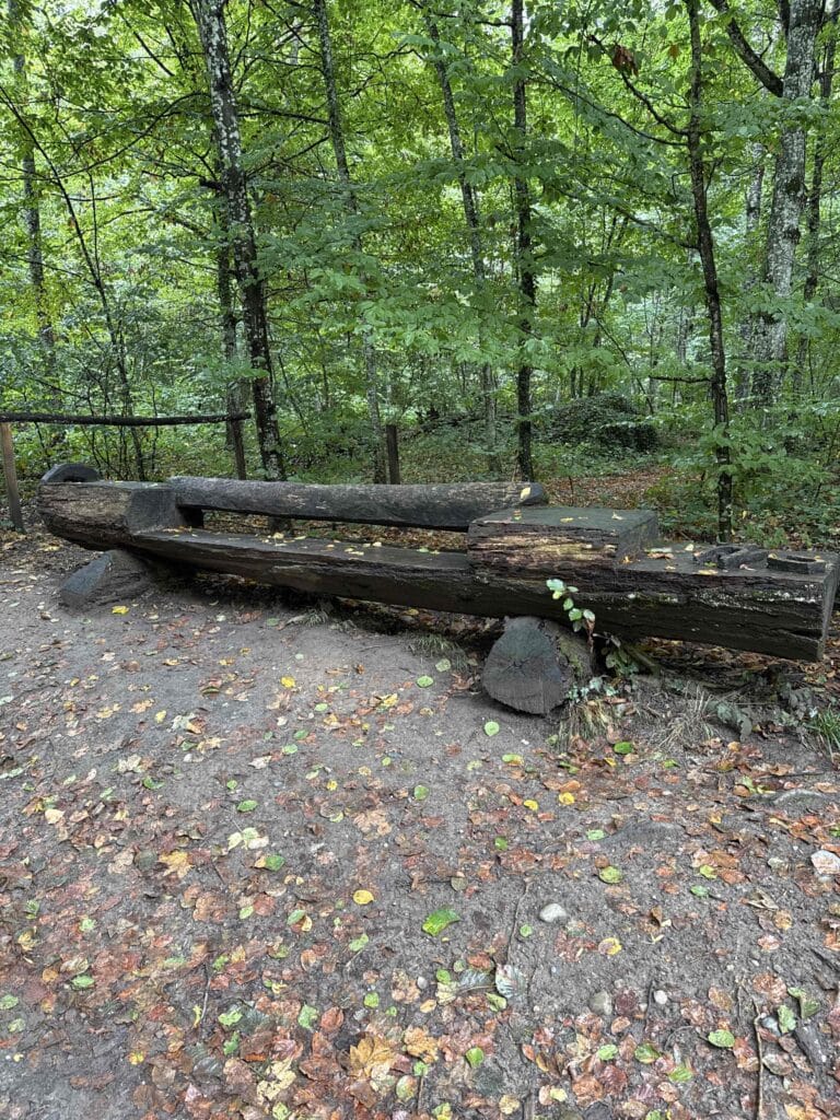 Vieille scie en bois dans la forêt.