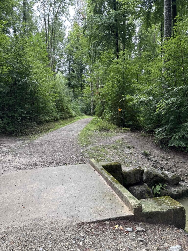 Sentier forestier avec pont en béton.