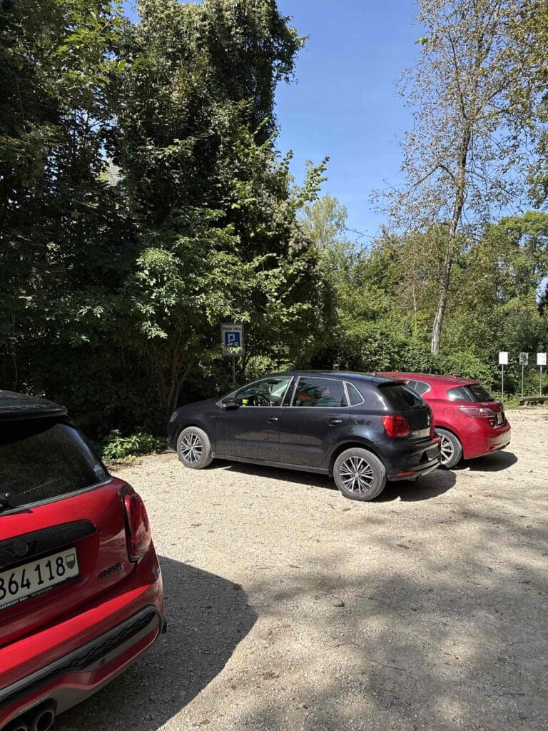 Trois voitures garées en plein air, sous les arbres.