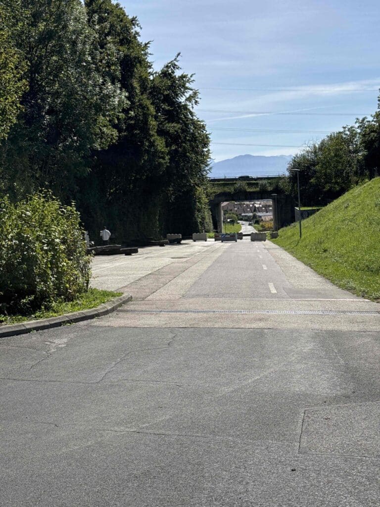 Route bordée d'arbres et pont à l'horizon.