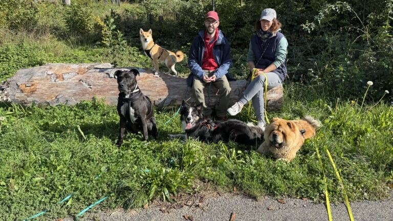 Rejoins les balades PlayDogs